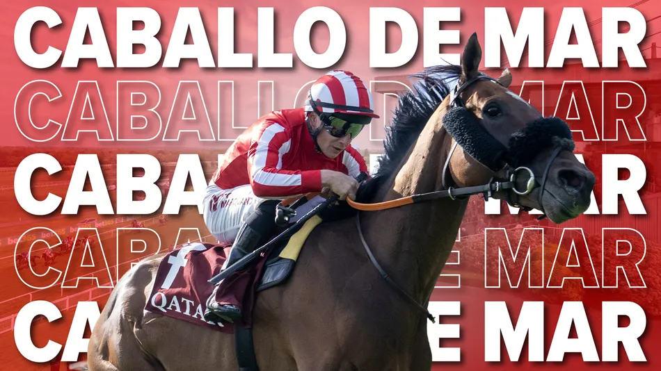 'He seems to have it all to prove' - can dual Group 1 winner Caballo De Mar bounce back to his best in Doncaster Cup?