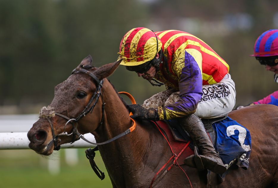 'I couldn't give two hoots who we're up against - Willie Mullins and Gordon Elliott will be more worried about my horse'