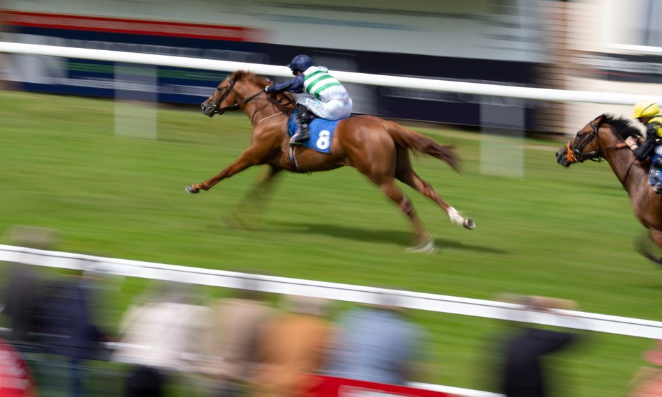 Impressive Zavateri dominates Celebration Mile for Eve Johnson Houghton