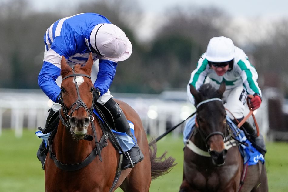 'He's as fast a juvenile as I've had' - Dan Skelton eyes Adonis and Aintree for exciting hurdler Precious Man