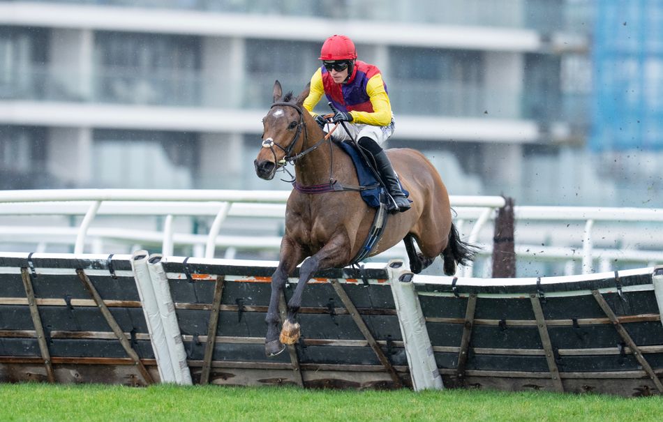 'He schooled very nicely in the spring' - Supreme second Sober Glory set to go chasing for Philip Hobbs and Johnson White