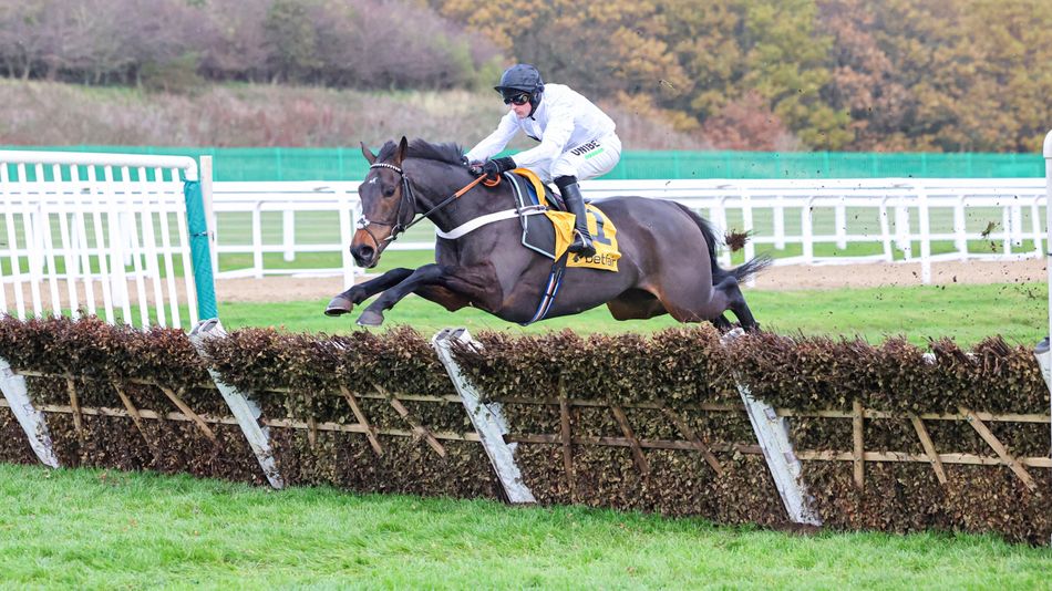 Who takes on Constitution Hill in the Fighting Fifth? Willie Mullins could send strong challenge to Newcastle as entries are revealed