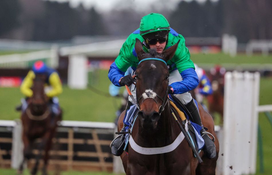 Half-brother of Cheltenham hero Old Park Star among August Sale highlights