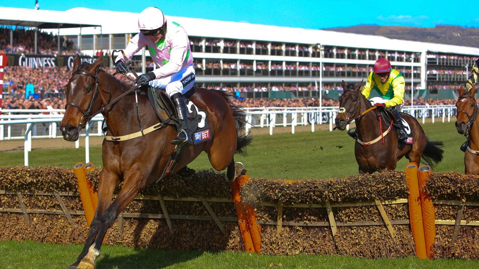 Racing to cease at track where Douvan made his debut as cost-cutting measures hit hard in France