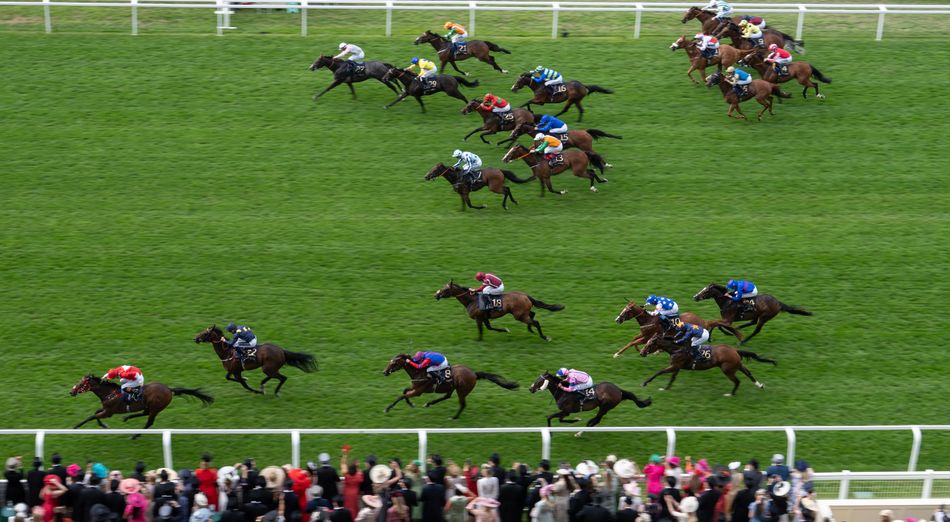 'I don't know what more we can do' - Ascot clerk frustrated over accusations of straight track bias