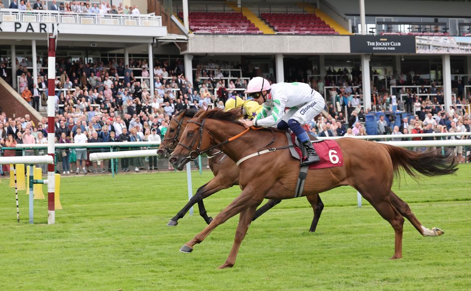 'He loves Chester and has a very obvious chance' - who really likes ...
