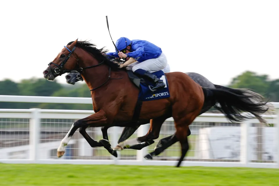 'He wasn't in love with the ground at York and we'll go where it's suitable for him' - conditions to determine Ombudsman's next target