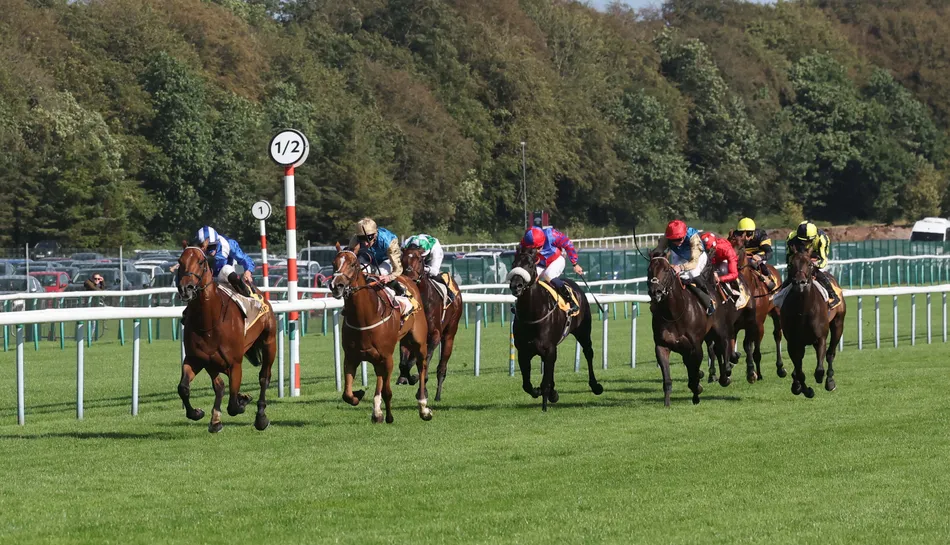 Breeders' Cup and Ascot put on agenda for Sprint Cup runners left trailing by awesome Almeraq