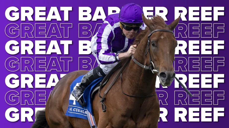 From the unbeaten Coventry Stakes winner to another exciting Juddmonte juvenile - four runners to note at the Curragh on Saturday