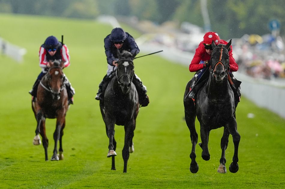 Memories of Mayson as Coppull gets Highfield Farm back in the big-time at Goodwood