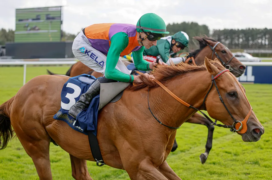 King Of Light Wins Back-to-Back Haydock Handicap
