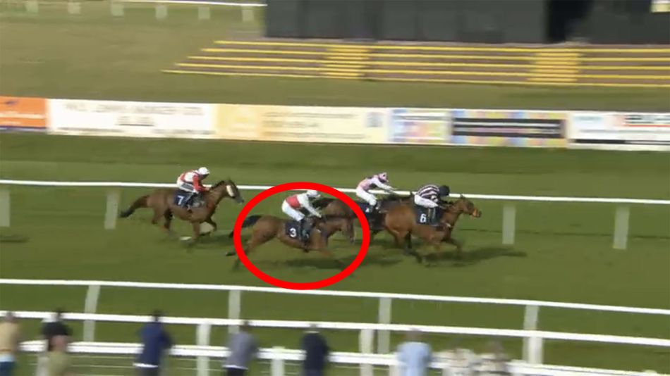 Controversial Dylan Kitts ride referred to the BHA and horse banned for ...