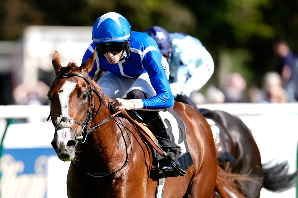 One run, one win, now a Group 1 - Tony Bloom's 380,000gns colt out to boost Andrew Balding's title bid