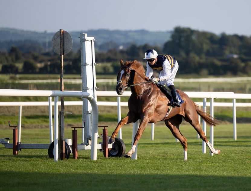 'He is going to be exciting next year' - Deakin powers to impressive ...