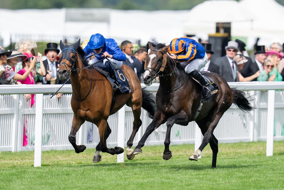 Gosdens set stage for rematch of Royal Ascot epic with Trawlerman on course for Goodwood Cup