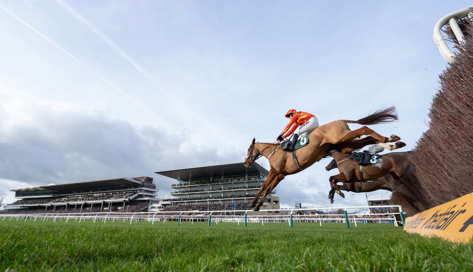 'I knew within a few weeks he had a serious engine' - the Cheltenham Festival prospect whose owner only kept him after a twist of fate