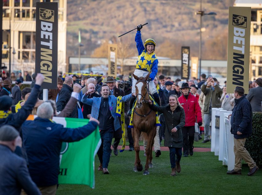 Owners still on cloud nine after horse bought 'to have a bit of fun ...