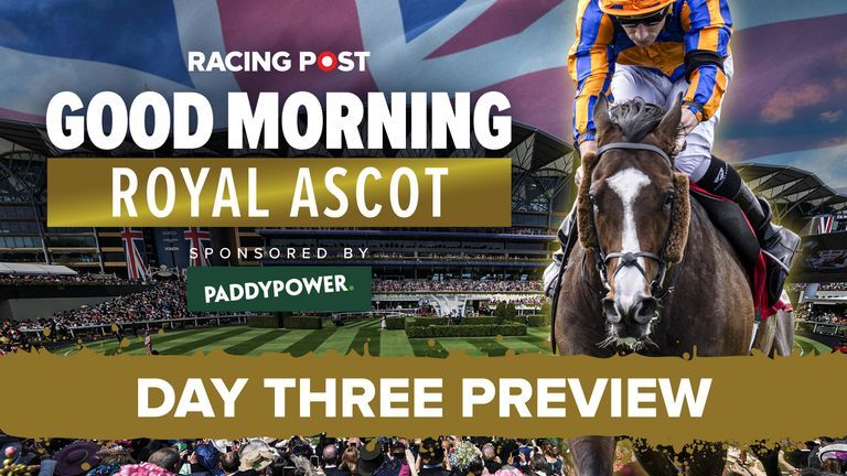 'I still have faith in him unless it goes completely wild' - Johnny Dineen remains keen on Gold Cup drifter