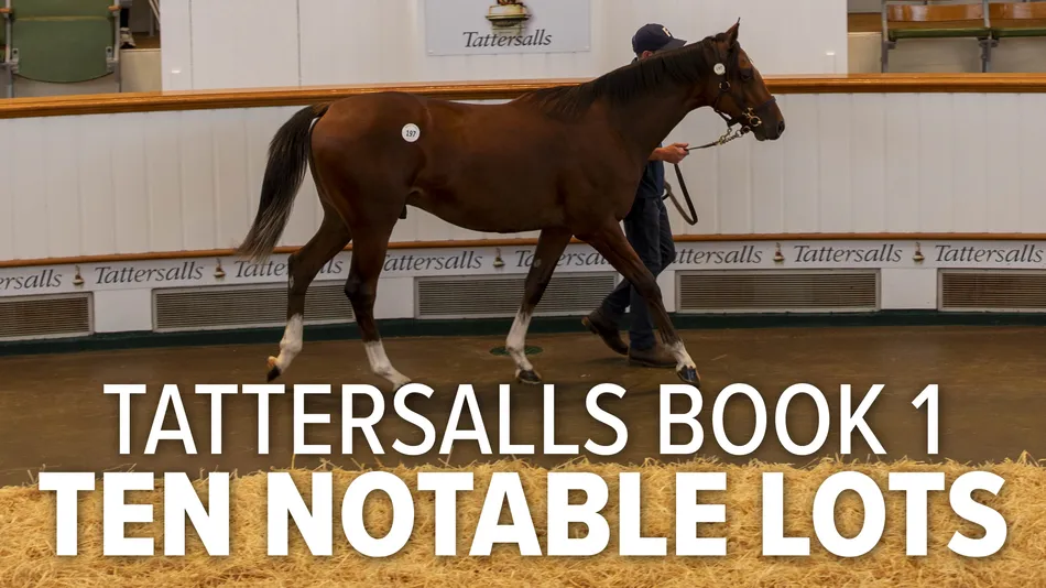 Ten of the best: siblings to Blue Bolt, Precise and Christmas Day among Tattersalls Book 1 treasures