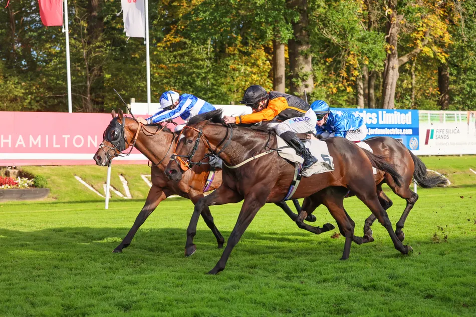'Maybe he was the right price in the end' - The Horse Watchers celebrate another win as City Captain enjoys more Hamilton success