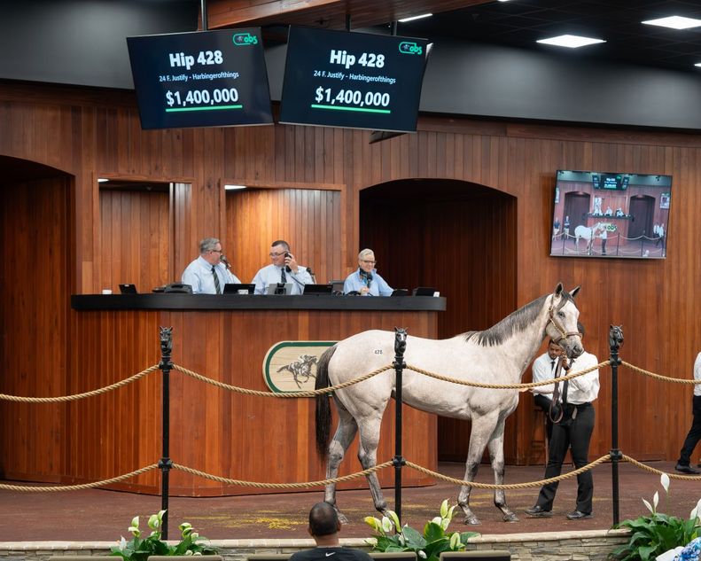 ‘You can’t walk away from a filly as phenomenal as her’ - daughter of Justify sets $1.4 million OBS record