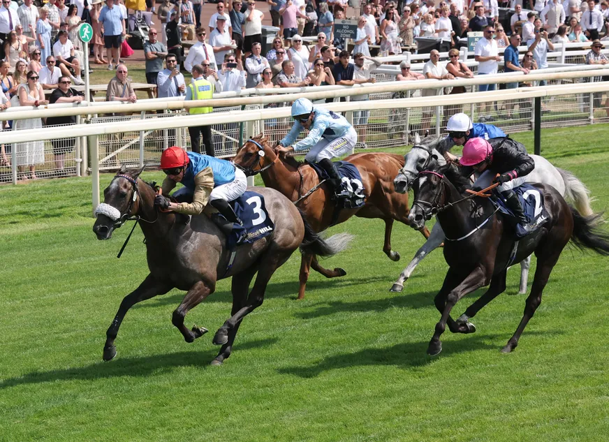 A huge week for Wathnan Racing at Goodwood - we rank the powerful owners' stacked squad for Wednesday