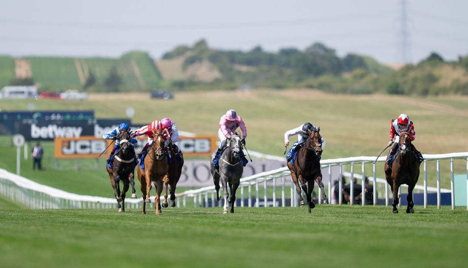 Leading breeze-up purchase Senorita Bonita justifies punchy price tag at Newmarket