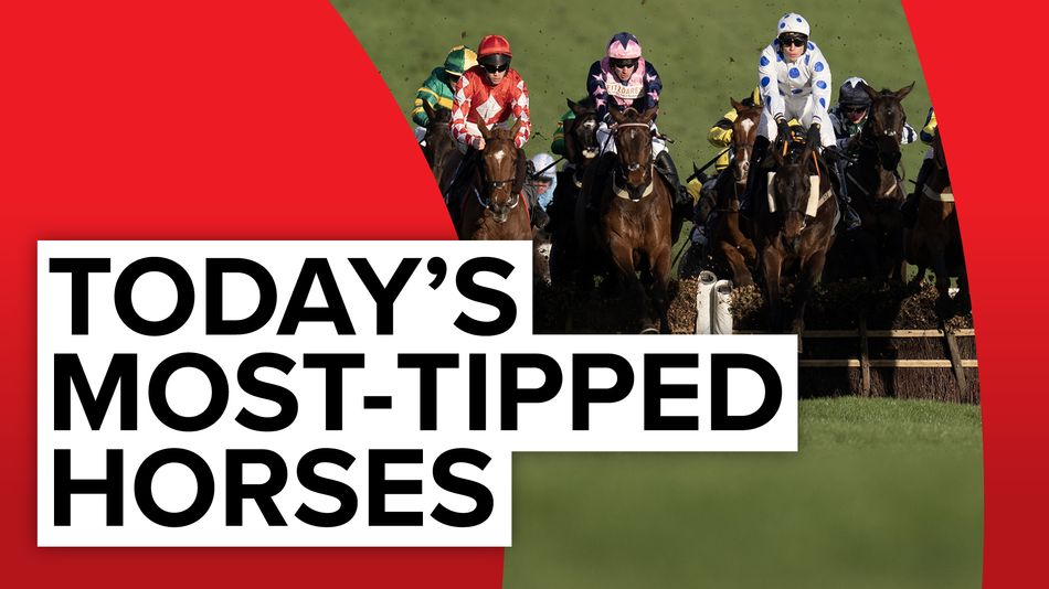 These are the mosttipped horses running in Britain today Racing Post