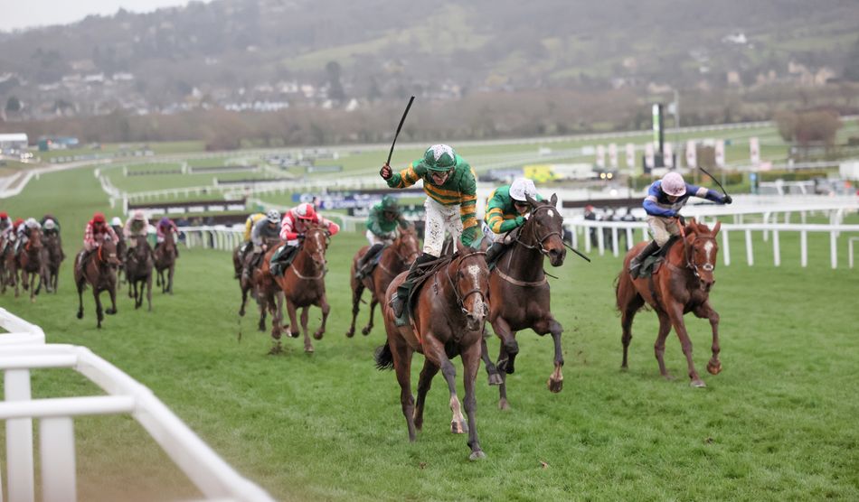 BHA says 10-1 Cesarewitch second favourite owned by JP McManus is not ...
