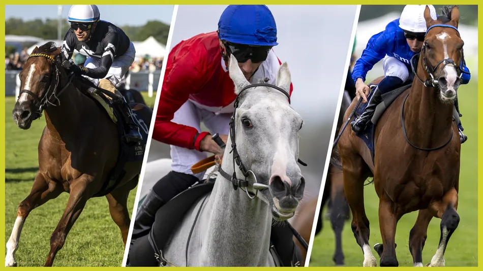 York Ebor festival 2026: how the biggest races are shaping up - including Ombudsman v Constitution River