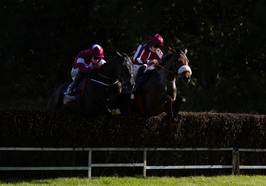 'He showed a good turn of foot' - Galway Hurdle hero Putapoundinthejar off the mark over fences