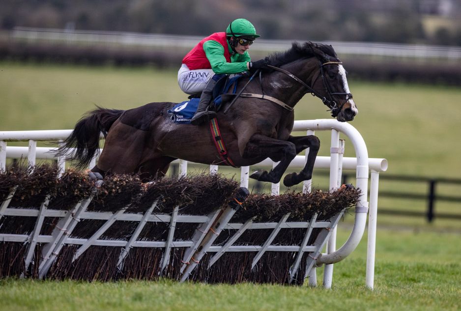 Limestone Lad Echoes In Rain on course for Mares' Hurdle after easy