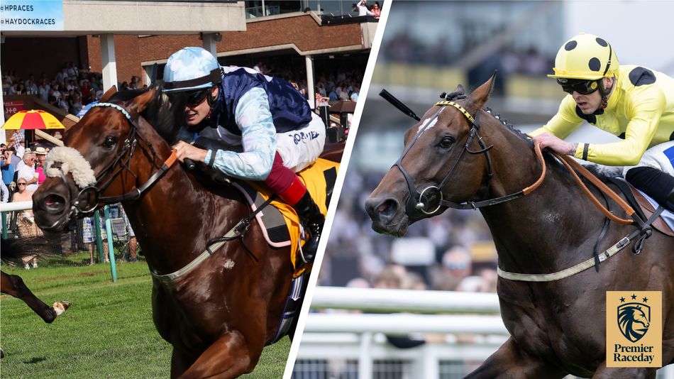 'Hopefully he can turn a corner' - will Elite Status bounce back and land another red-hot Hackwood Stakes?