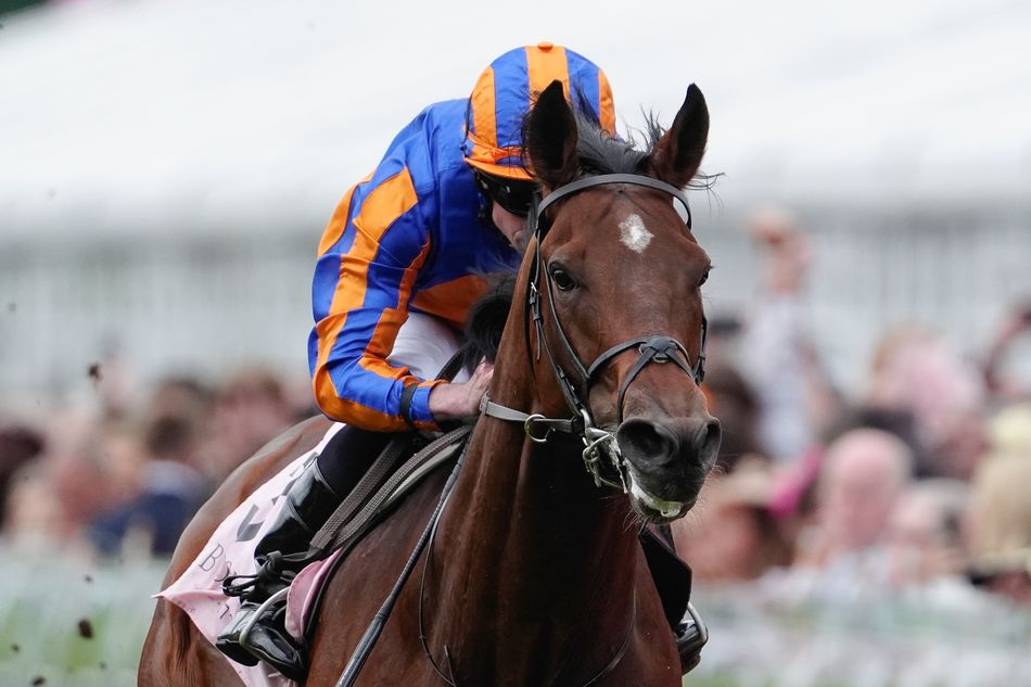Constitution River new favourite for the Derby after significant market move
