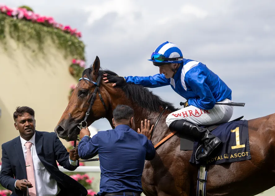Calling all prospective stallions - an open audition at Haydock this weekend