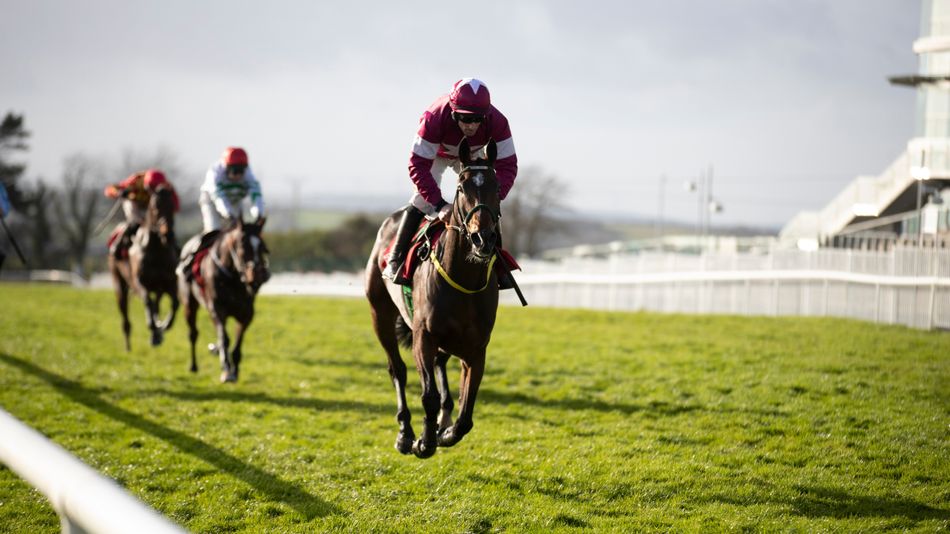 'Hopefully he can get back to something like his best' - Grade 1 winner ...