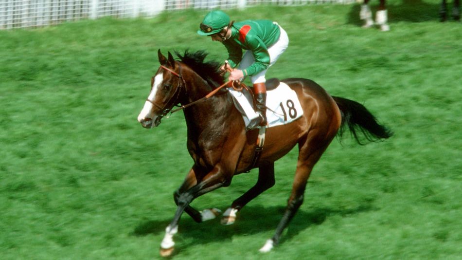 The remarkable and harrowing story of Shergar - a Derby record, a £10 million stallion, a killing nobody was ever held to account for