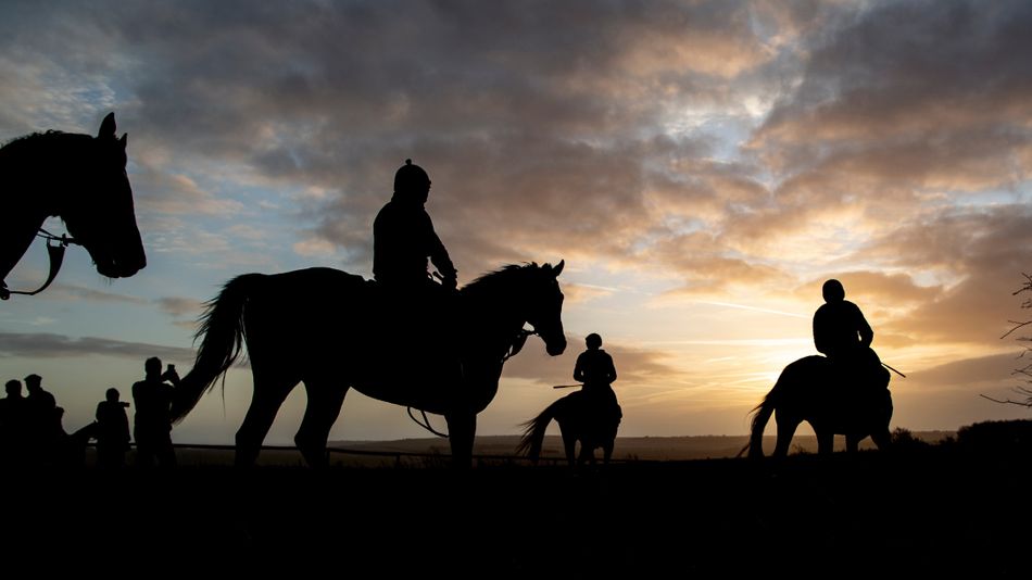 Owner banned for two years after social media abuse towards Leicestershire-based trainer