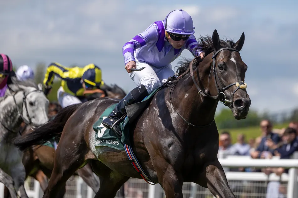 'The Breeders' Cup is very possible' - speedy Comanche Brave set for the States after Flying Five romp