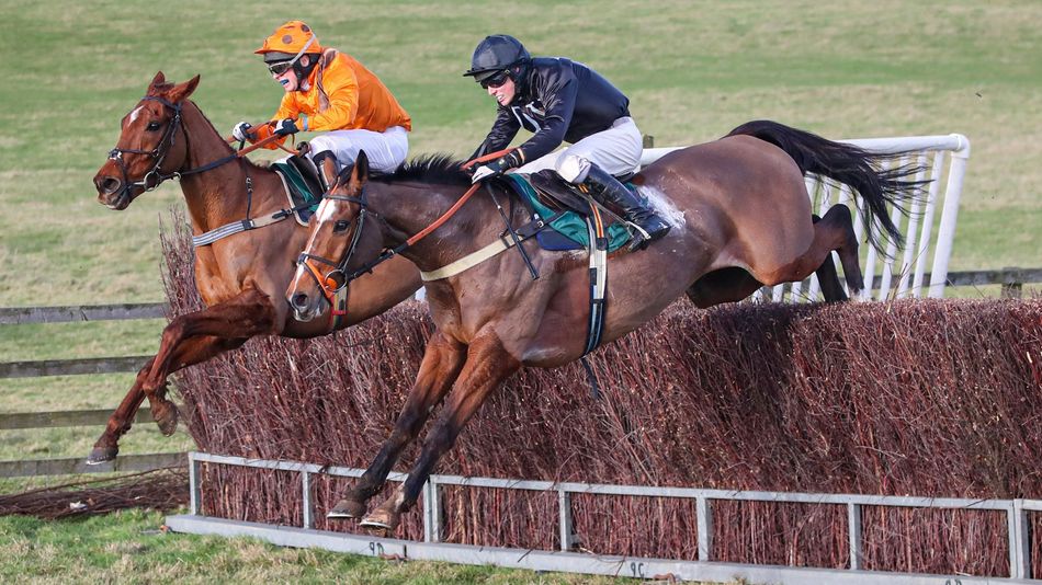 British-bred point-to-pointers promoted with new £10,000 bonus scheme