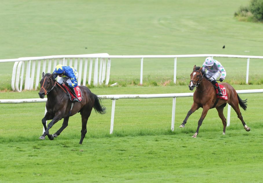 'He's definitely a nice horse' - Levey and Hannon team up to plunder lucrative Gowran Classic with Bunyola Bay