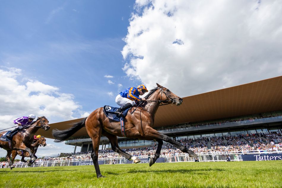 'He's very exciting' Aidan O'Brien takes unorthodox route to Irish