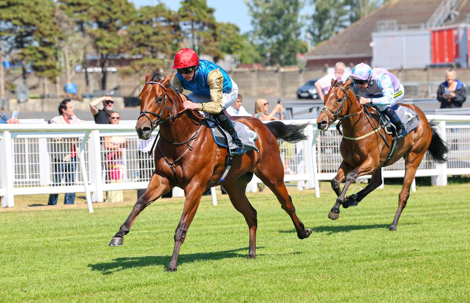 James Doyle back with a winner as 200,000gns breeze-up purchase ...