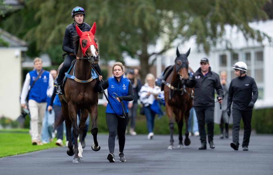 'Does the punishment fit the crime? I guess that's the question on everybody's lips' - Aussie rider on his 20-day Royal Ascot whip ban