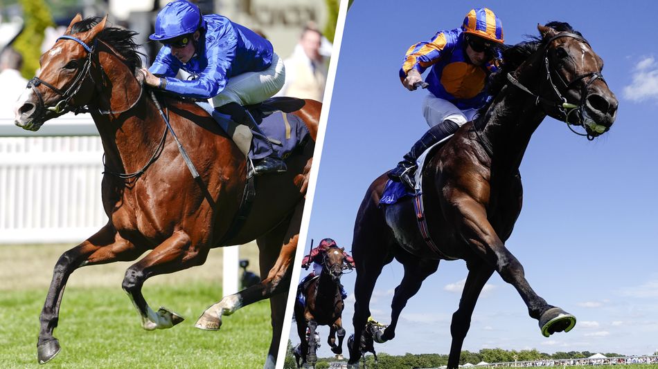 'The world would be tuned in' - York relishing possible Ombudsman v Constitution River clash in Juddmonte International