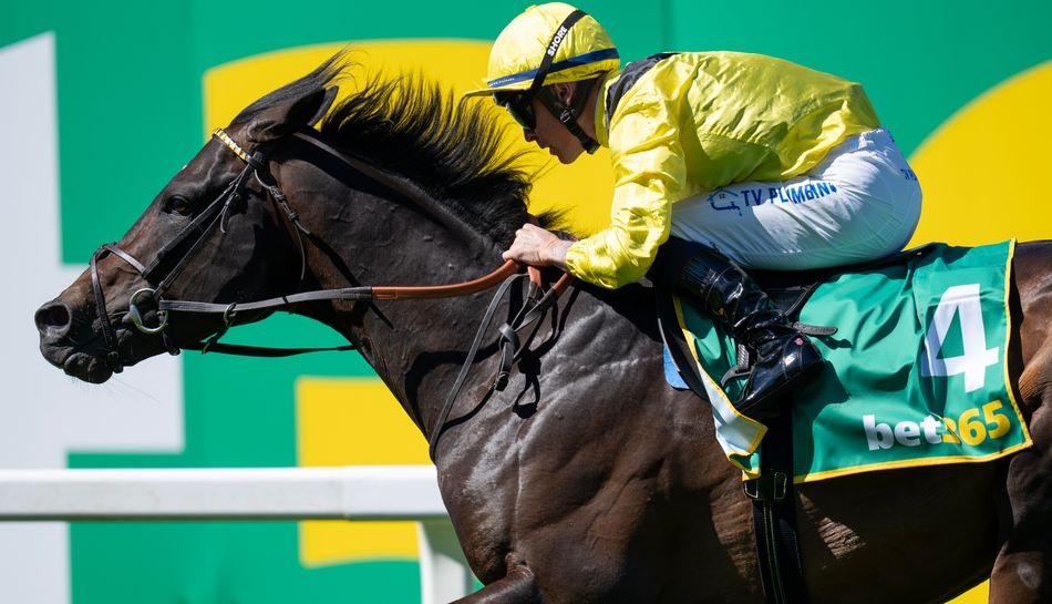 'His best days are ahead of him' - Roger Varian takes aim at star-studded Coral-Eclipse with progressive Saddadd