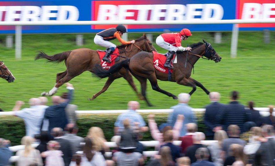 Wathnan Racing Post Wathnan Racing's £1 million buy Rogue Lightning on course for Temple ...