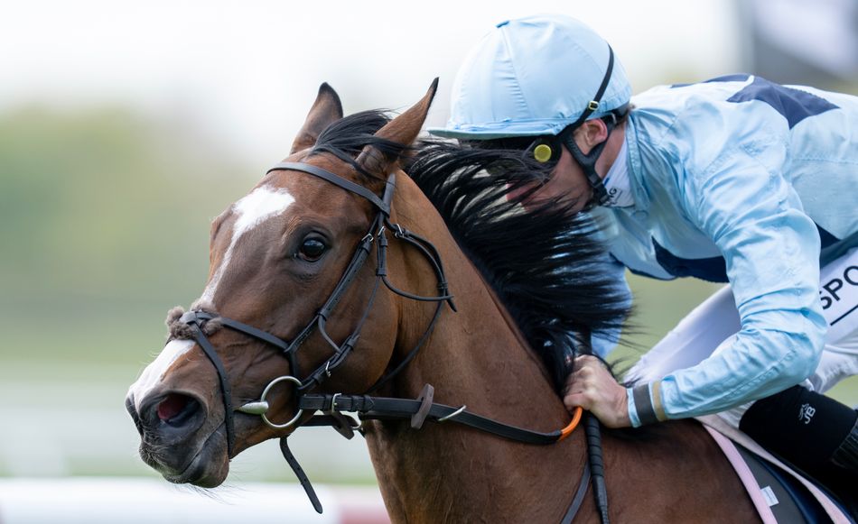 'She's an exciting filly and we were very happy with her recent away day' - Ed Walker star primed for 1,000 Guineas bid