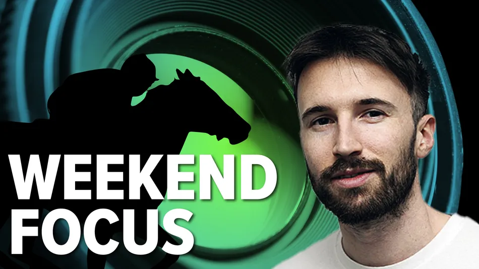 'He'll take a big step forward' - Robbie Wilders with fancies at 9-1, 8-1, 8-1 and 3-1 for Saturday's action