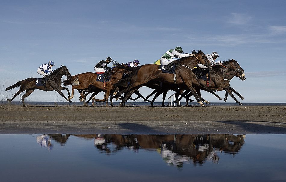 'I promised I'd come back with the right horse' - top Jersey trainer ...